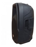 Caixa Ativa PZ PX15A