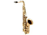 Sax Tenor Vogga